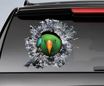наклейка на окно eclectus roratus, наклейка на автомобиль, наклейка на автомобиль с попугаем, забавная наклейка, зеленый эклект