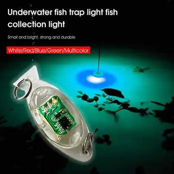 Мини-Рыболовная Приманка Light LED Deep Drop Подводная Форма Рыбьего глаза Рыболовная Приманка для ловли Кальмаров Светящаяся Приманка Легкие Рыболовные Инструменты