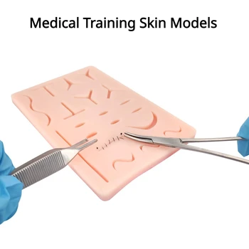 Студенты-медики Практикуют наложение швов Хирургическое обучение Накладывают швы на раны Медицинские Тренировочные модели кожи Медицинская практика