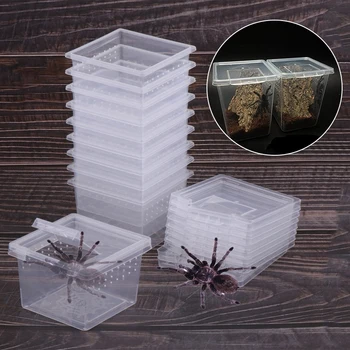 Пластиковый ящик для кормления насекомых-пауков, пластиковый ящик для выращивания насекомых, Клетка для рептилий, контейнер для вылупления, Прозрачные принадлежности для домашних животных
